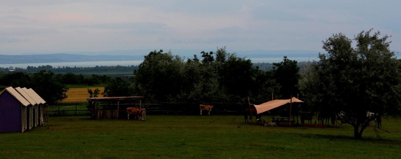 Dharma Horse Shelter Bungalows&Farmping Siofok Bagian luar foto