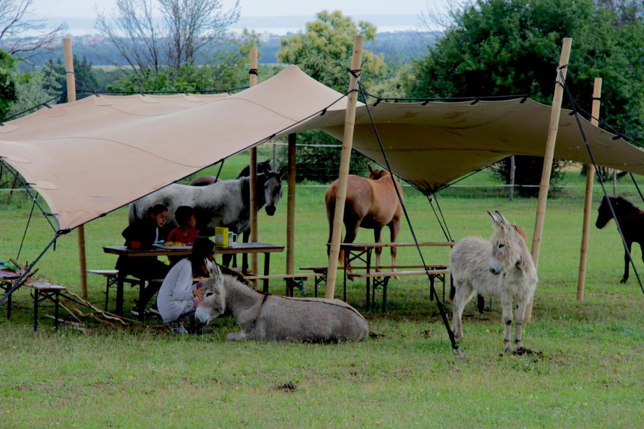 Dharma Horse Shelter Bungalows&Farmping Siofok Bagian luar foto