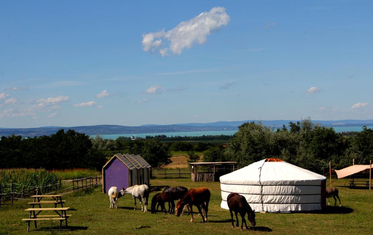 Dharma Horse Shelter Bungalows&Farmping Siofok Bagian luar foto