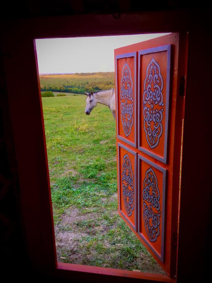 Dharma Horse Shelter Bungalows&Farmping Siofok Bagian luar foto